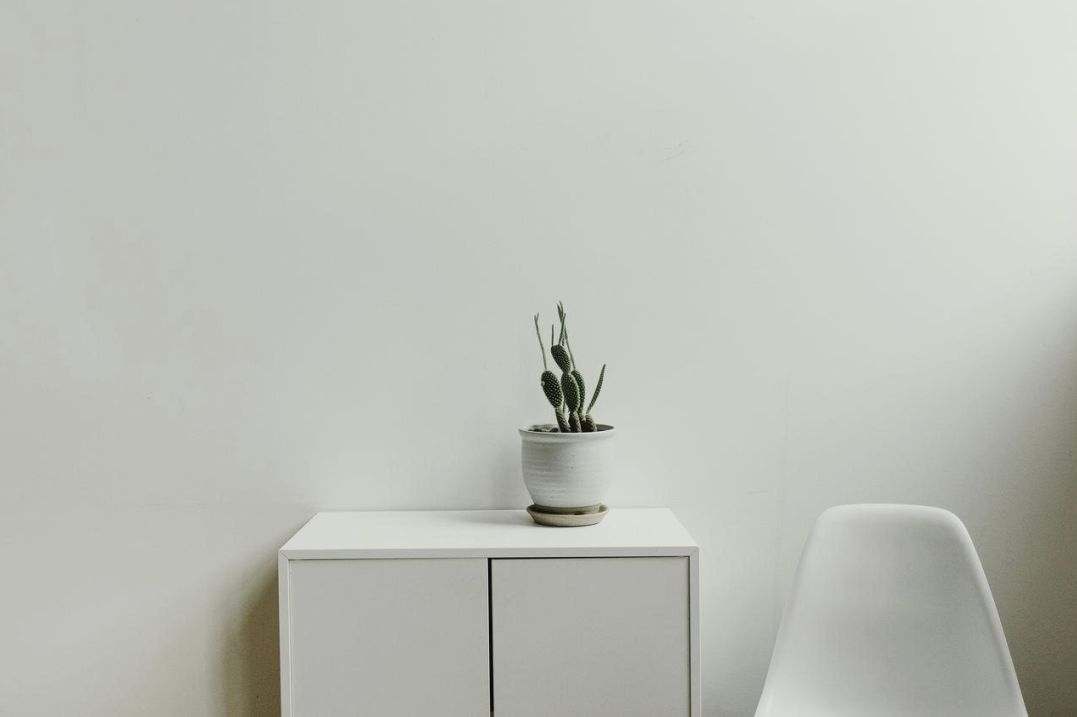 Custom furniture workshop